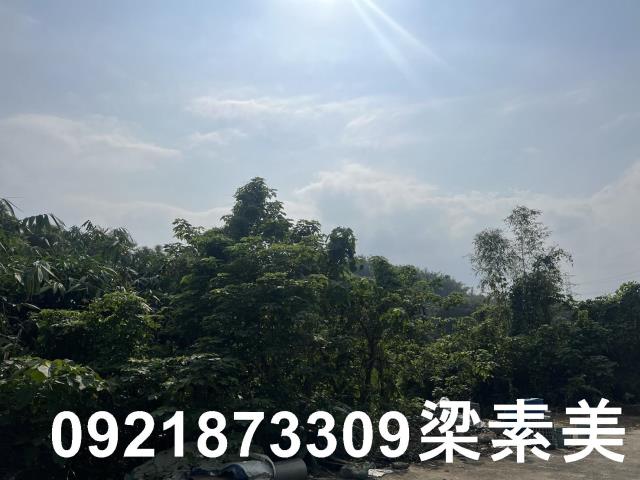 台南龍崎農地-2
