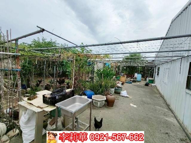 歸仁農地-3