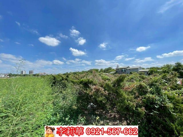 新化農地-5