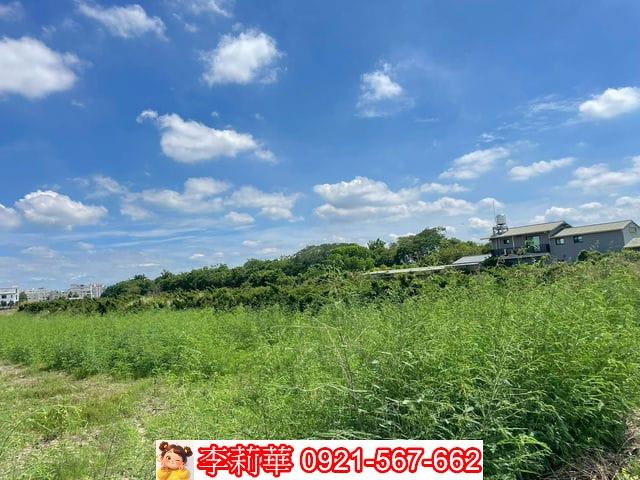 新化農地-6