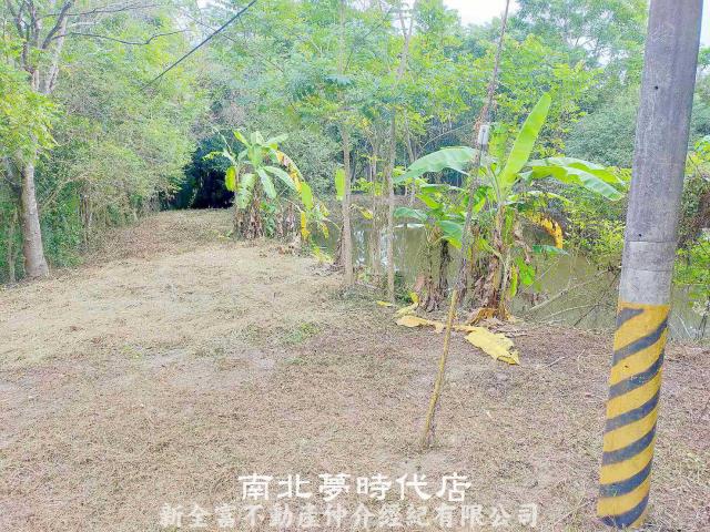 左鎮農地-5