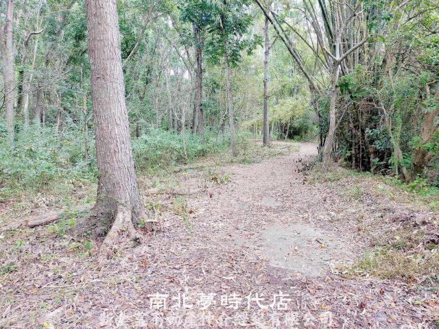 左鎮農地-9