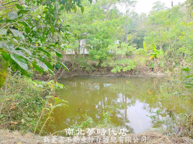 左鎮農地-10