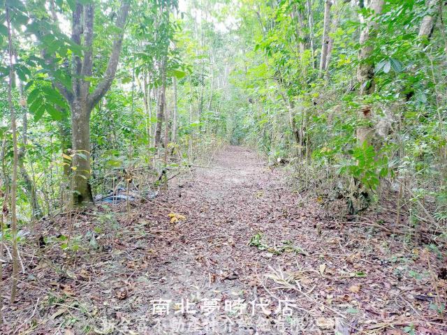 左鎮農地-1
