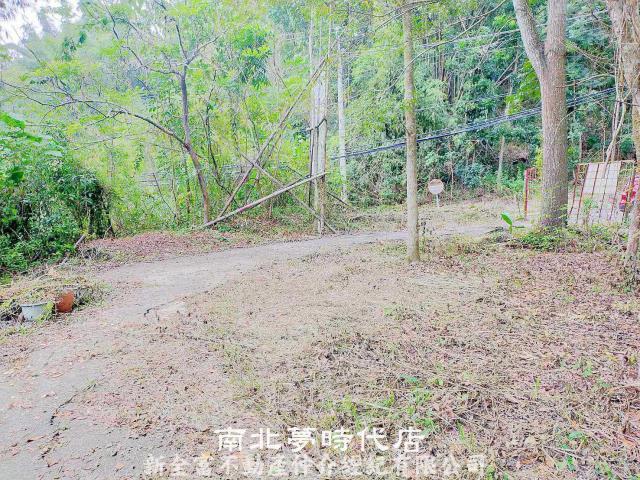左鎮農地-3