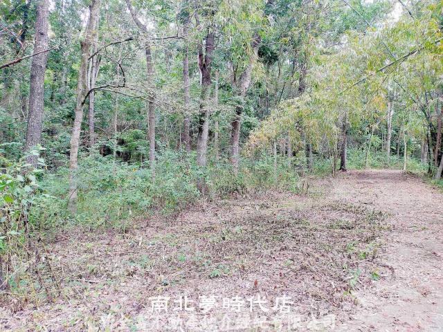 左鎮農地-6