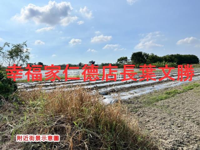 安定農地-10