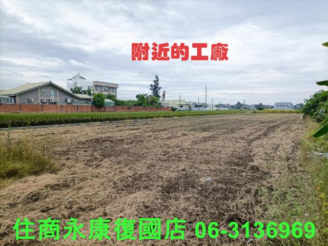 歸仁農地-2