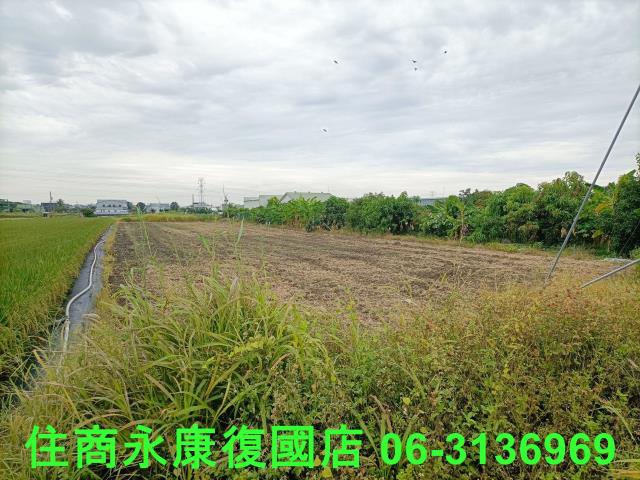 歸仁農地-8