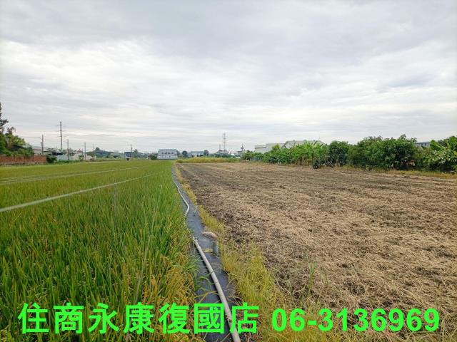 歸仁農地-0