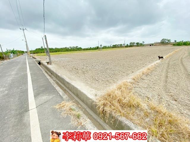 台南麻豆農地-0