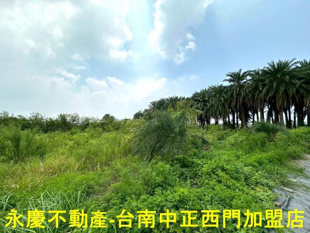 安南農地-9