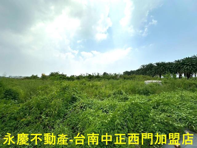安南農地-13