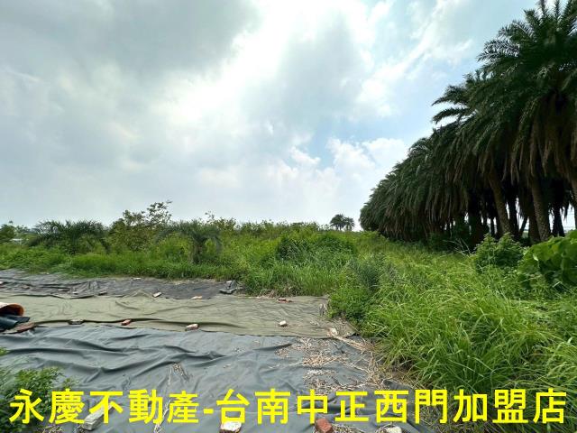 安南農地-0