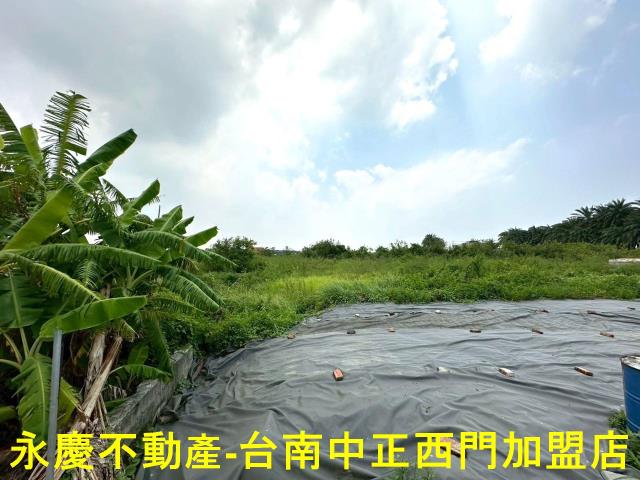 安南農地-5