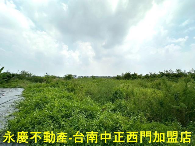 安南農地-8