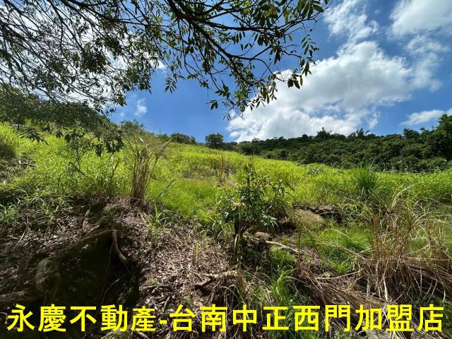 南化農地-9