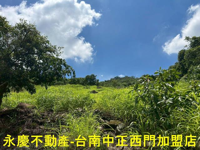 南化農地-3