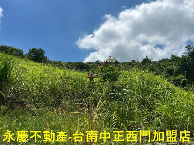 南化農地-5