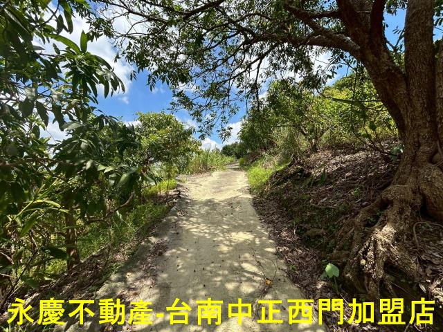 南化農地-7