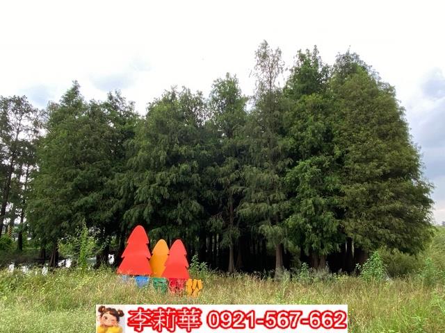 台南農地-2