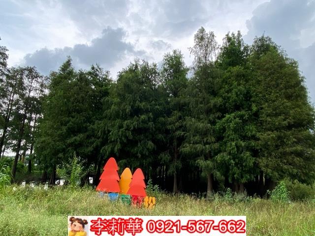 台南農地-3