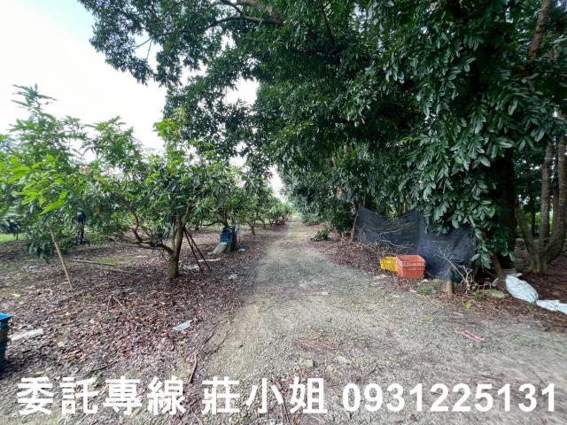 台南農地-9
