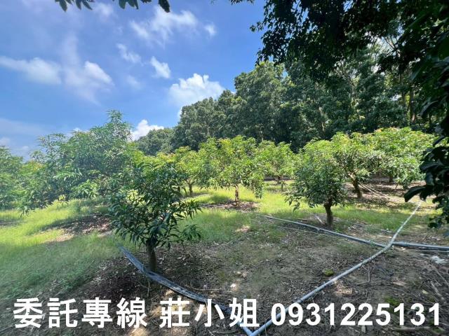 台南農地-11