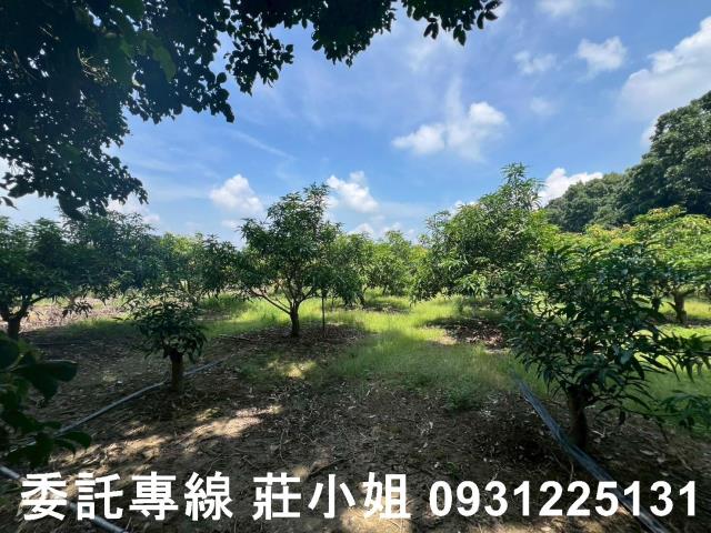 台南農地-0