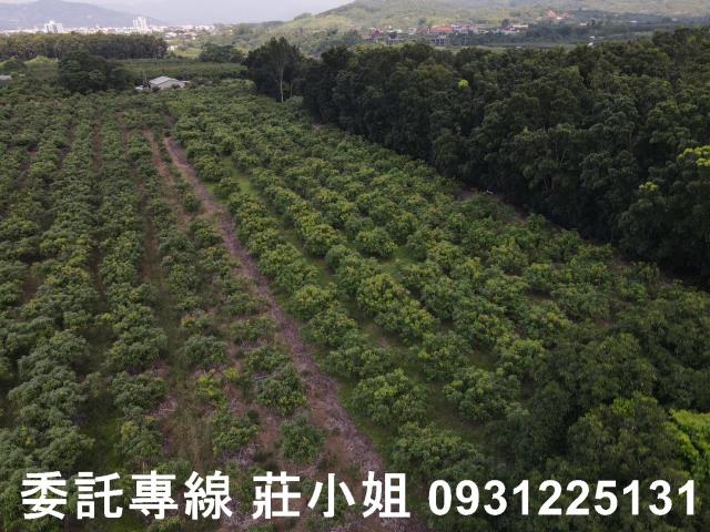 台南農地-4