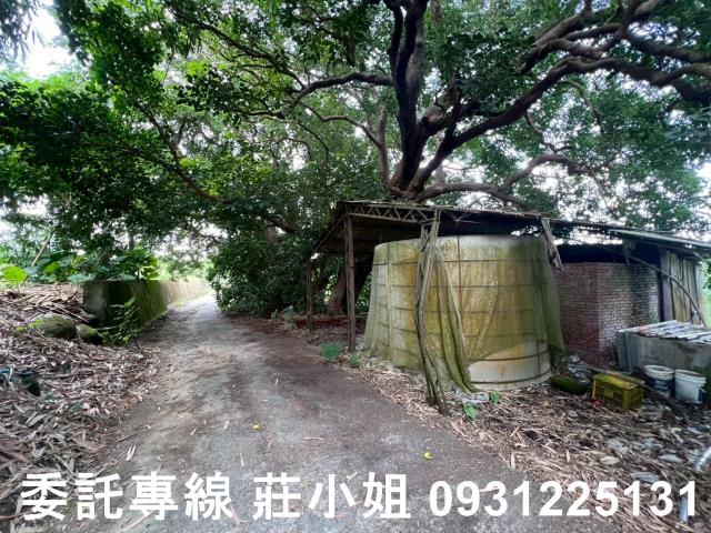 台南農地-6
