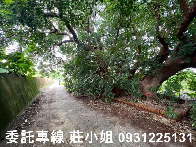 台南農地-7