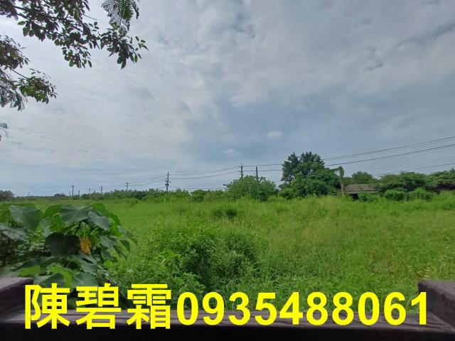 歸仁農地-9