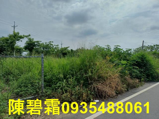 歸仁農地-7