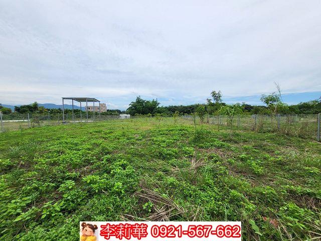 玉井農地-2