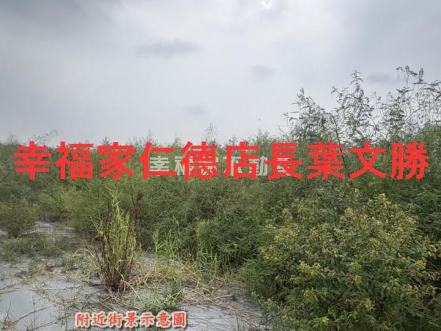 新化農地-13