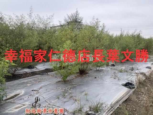新化農地-2