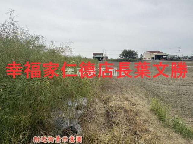 新化農地-7