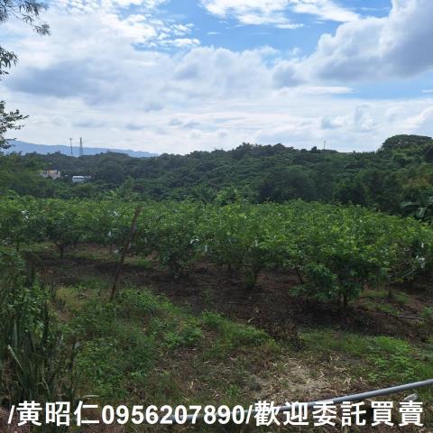 台南玉井建地-3