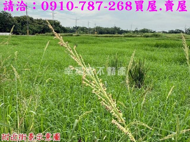台南農地-14
