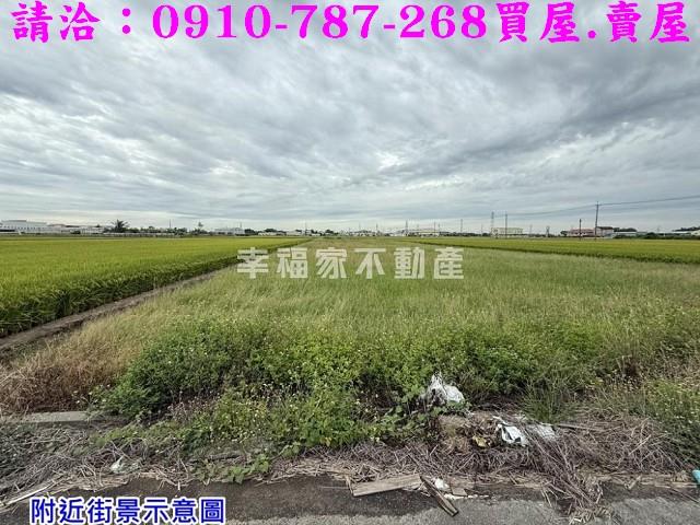 台南農地-4