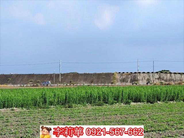 台南農地-4