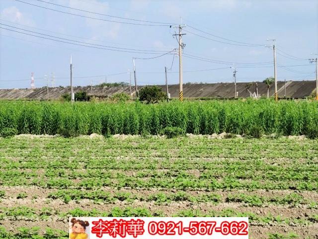 台南農地-5