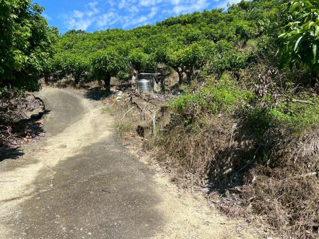 台南南化農地-8