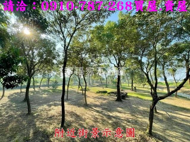 台南楠西農地-9