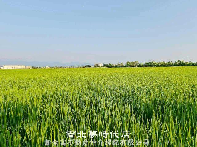後壁農地-0