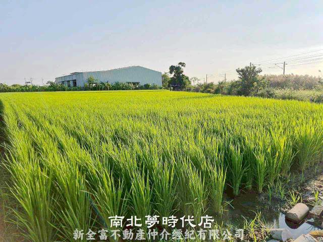 台南柳營農地-1