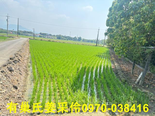 台南白河農地-6