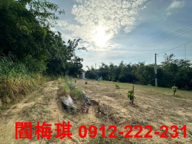台南關廟農地-3