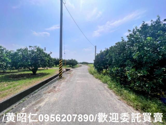 台南麻豆農地-4